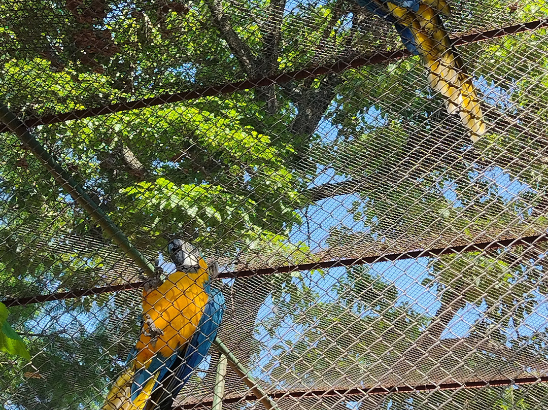 Zoologico Municipal de Piracicaba景点图片