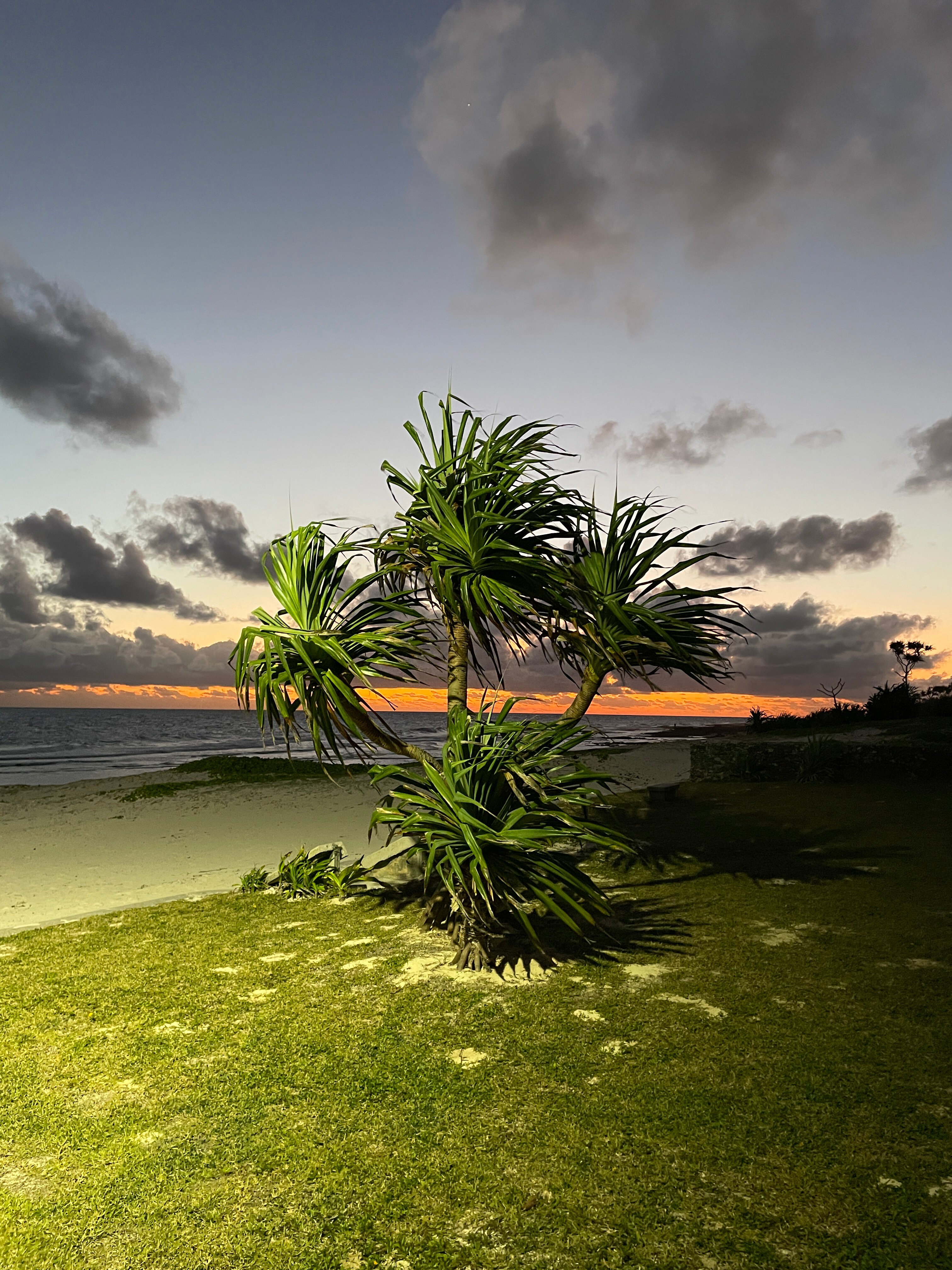 Tamanu on the Beach Resort and Spa-浴室