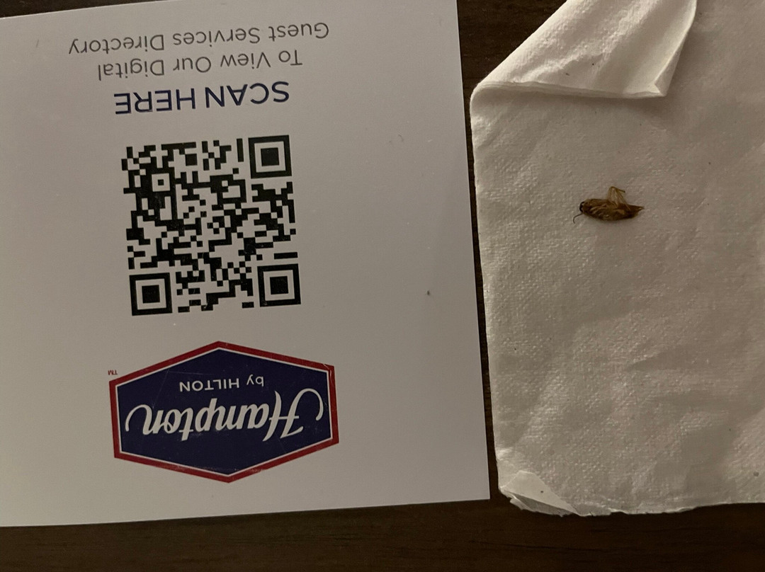 布里斯托尔希尔顿恒庭酒店主图