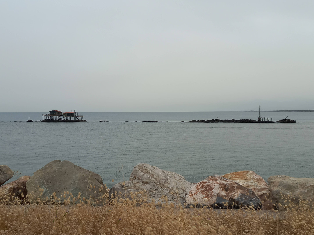 Porto di Pisa景点图片