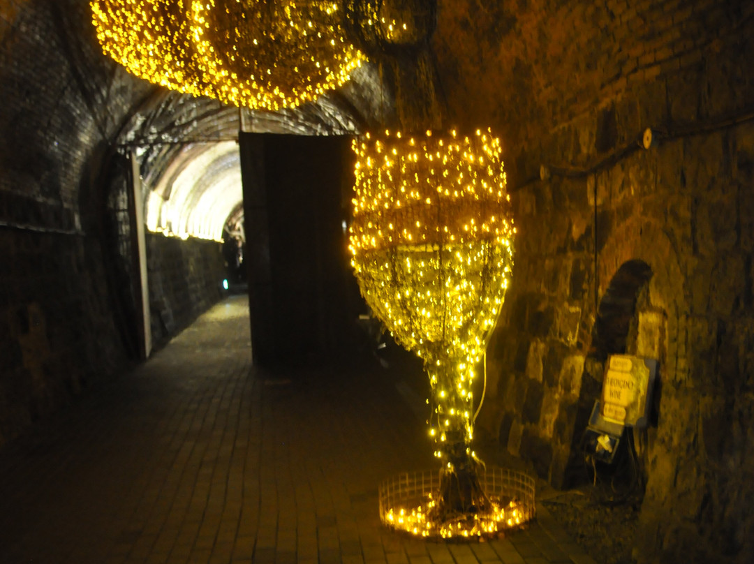 Cheongdo Wine Tunnel-清道郡必去景点