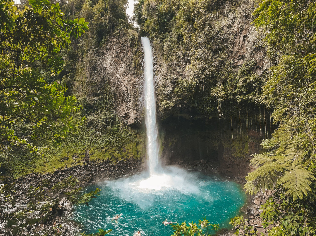 Stingreen Costa Rica-塔马林多必去景点