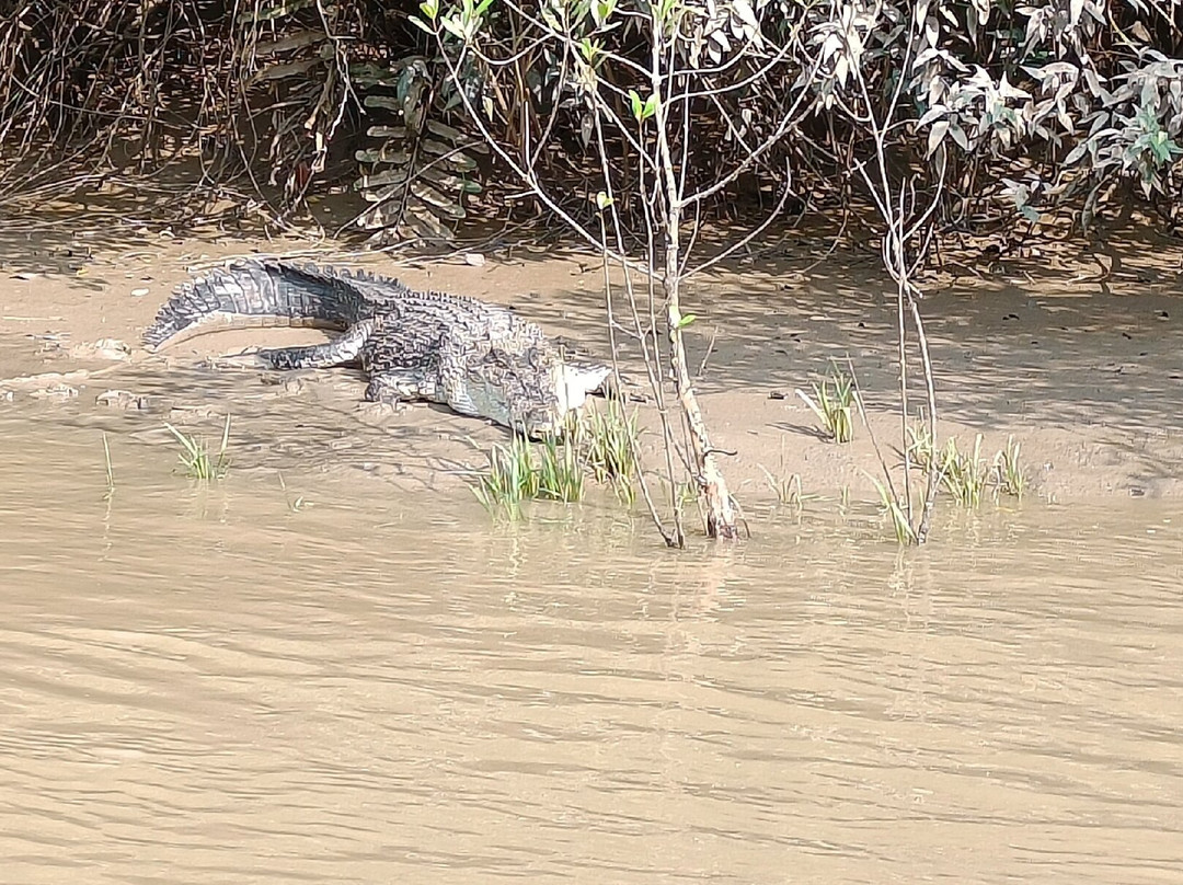 Bhitarkanika Wildlife Sanctuary景点图片