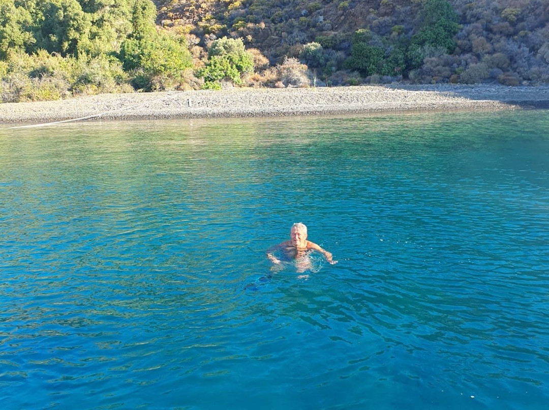 Kamelya Adası (kameriye)景点图片