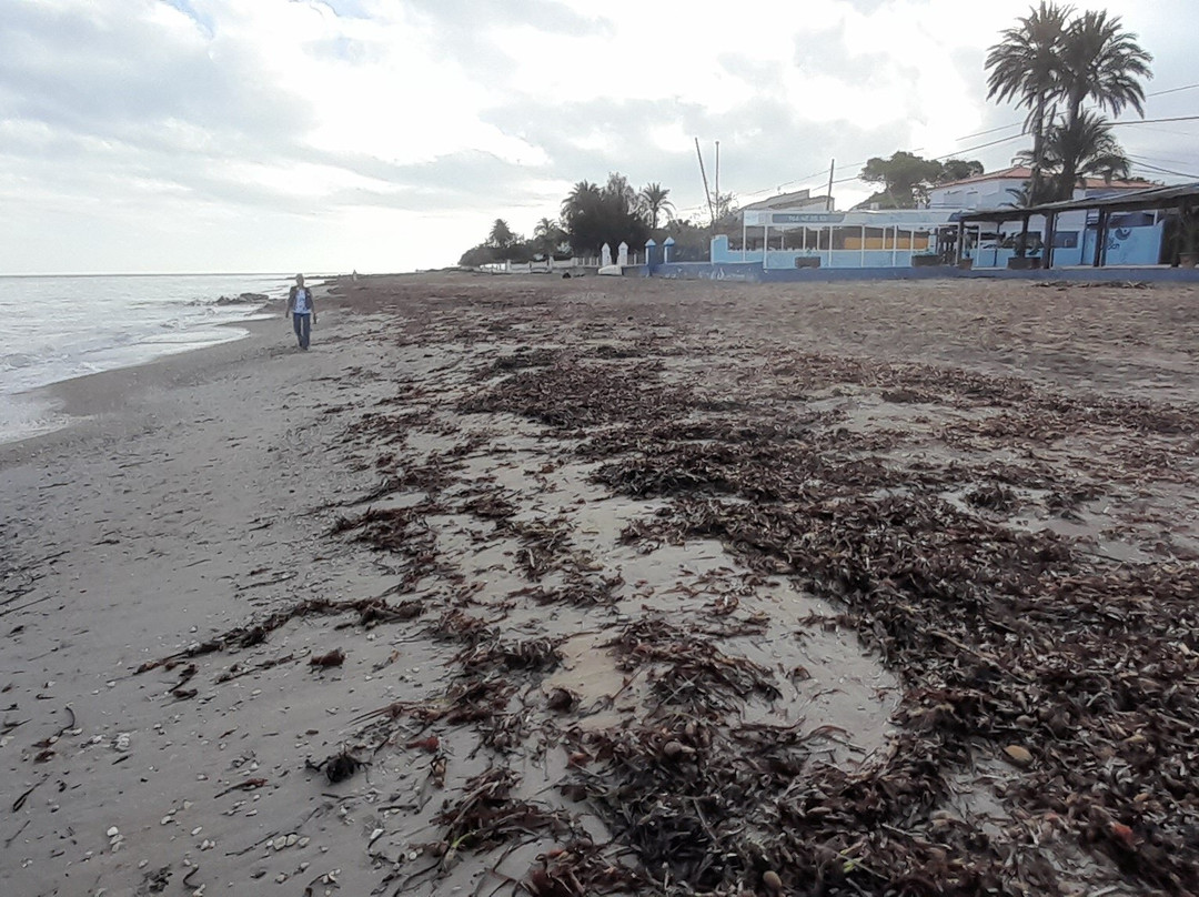 Platja De Les Marinas景点图片