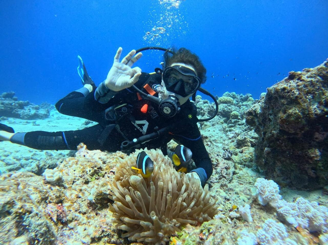 Islandive-大湾必去景点