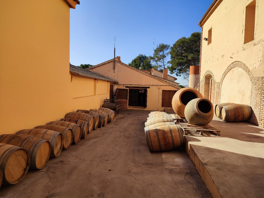 Bodega Vera de Estenas景点图片