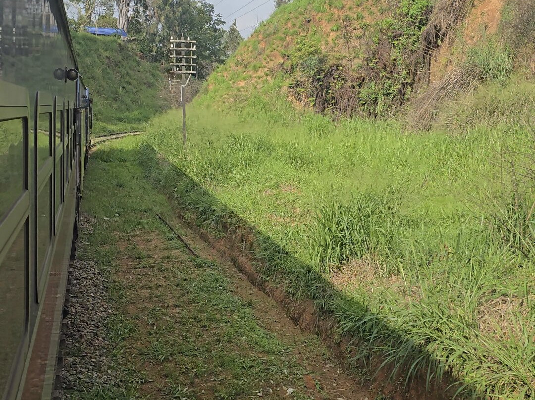 Train Tours-埃勒必去景点