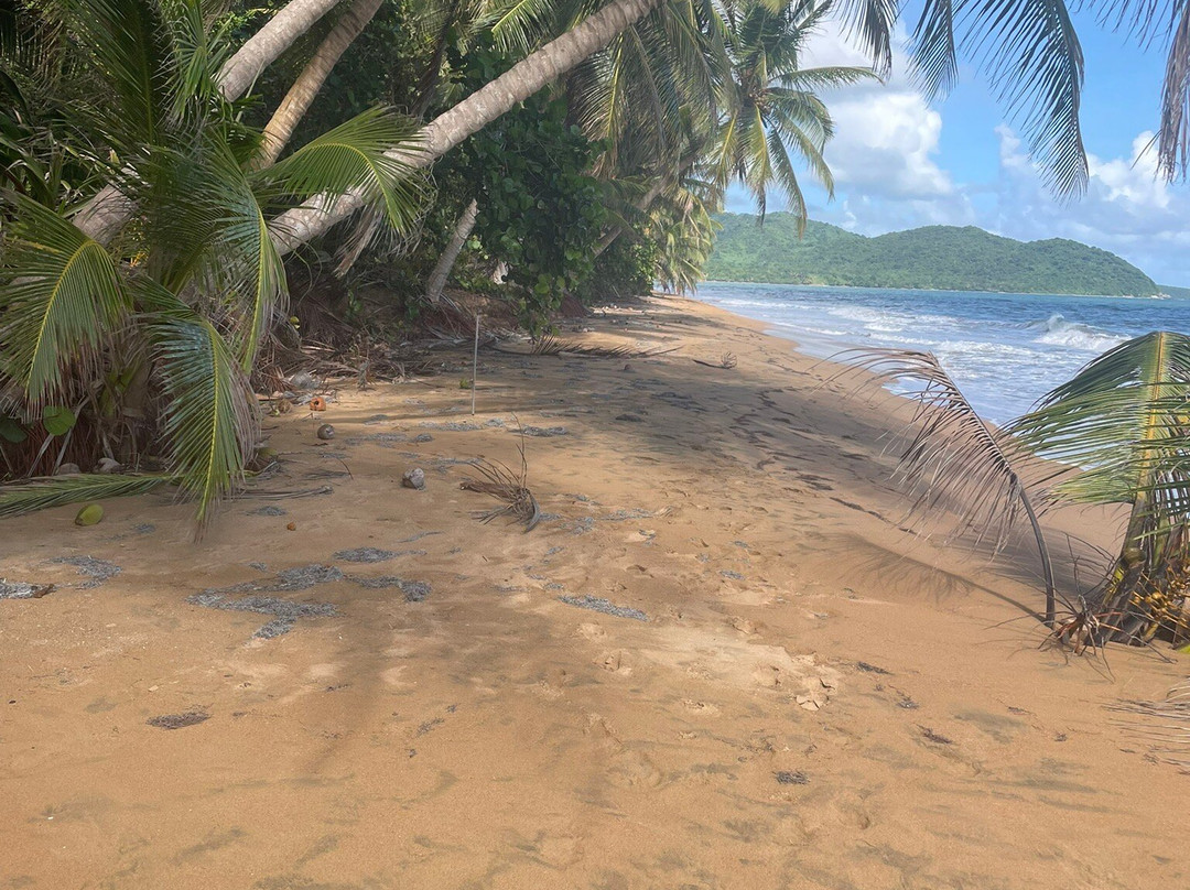 Playa Maunabo景点图片