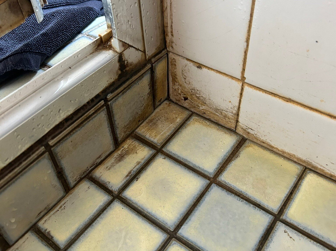 Peter Allen Motor Inn主图