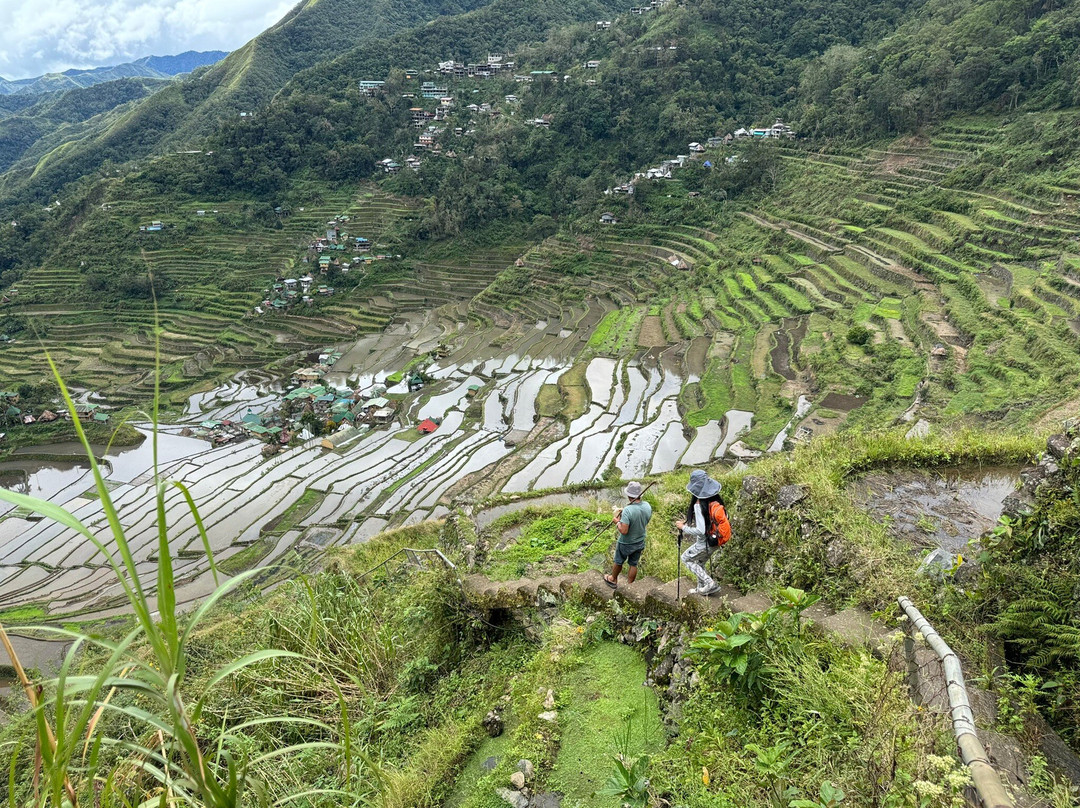 Rita's Mount View Inn主图