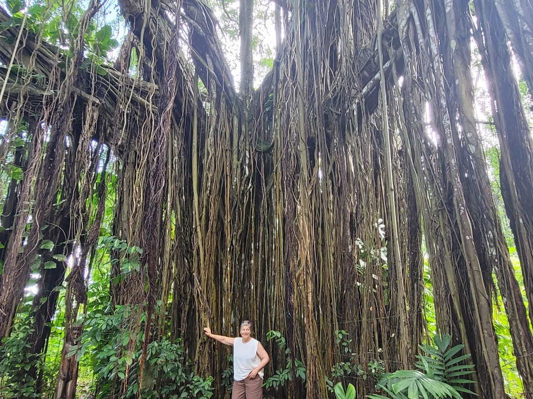 Jamaican Spirit Tours-奥乔里奥斯必去景点