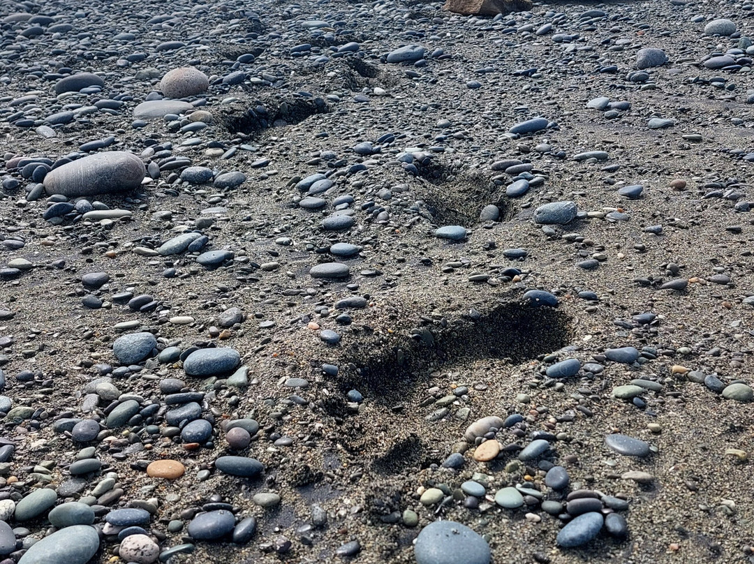 Gemstone Beach景点图片