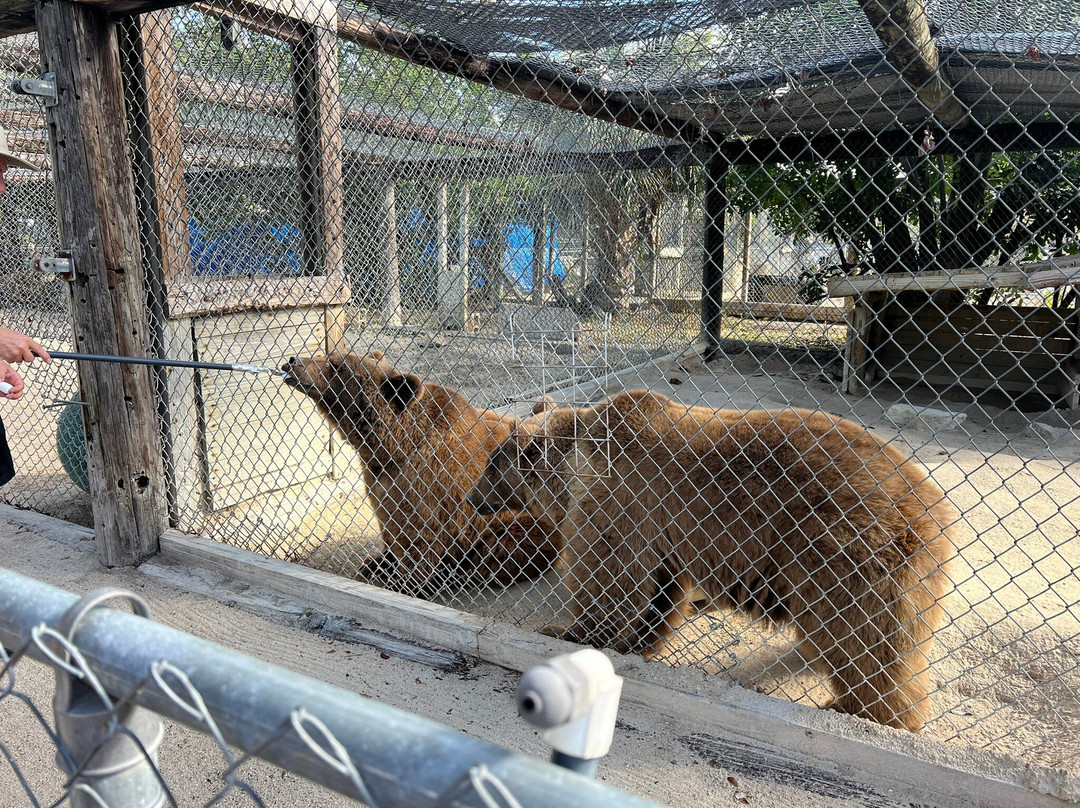 Octagon Wildlife Sanctuary-蓬塔戈尔达必去景点