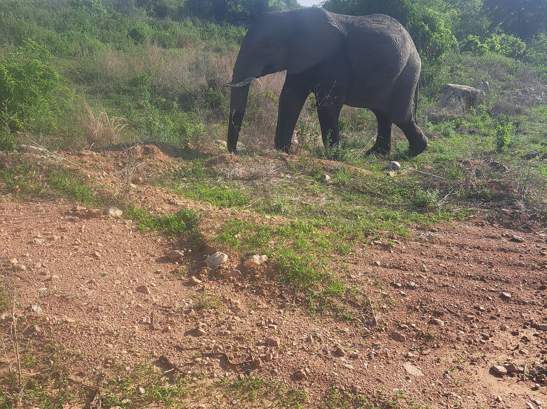 Mukuta Travels & Tours-Iringa必去景点