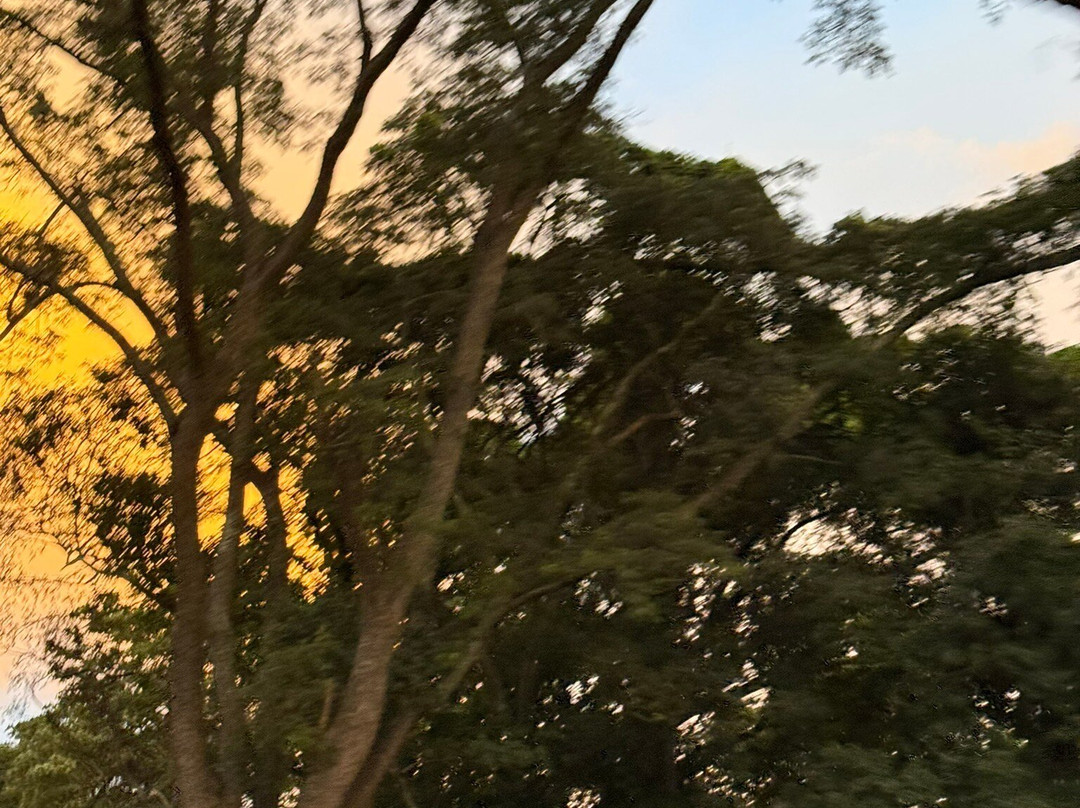 Luzaya-卢安达必去景点