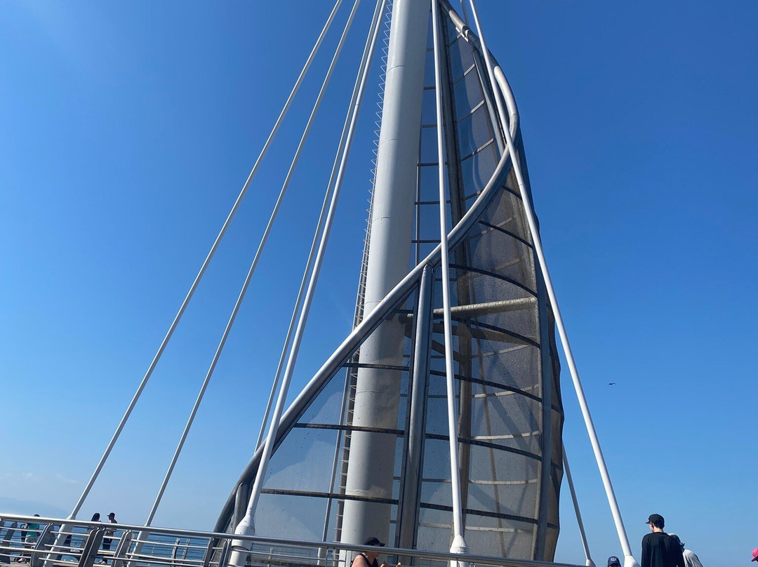 Muelle de Playa Los Muertos景点图片