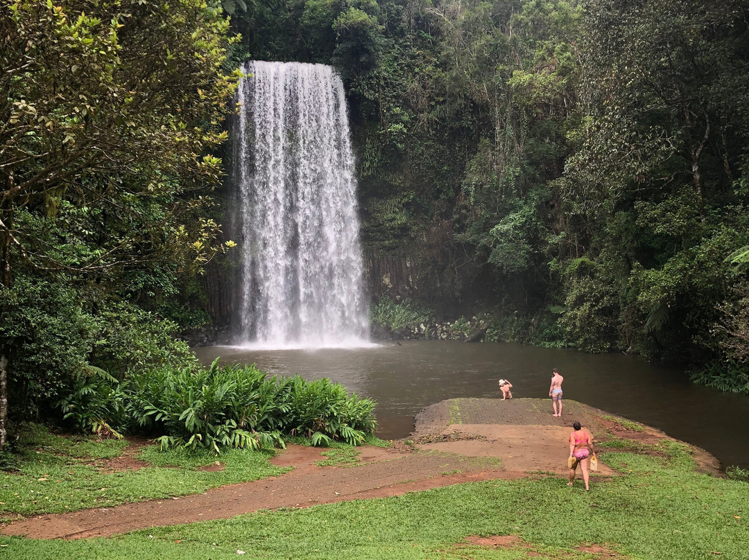 Millaa Millaa Falls-Millaa Millaa必去景点