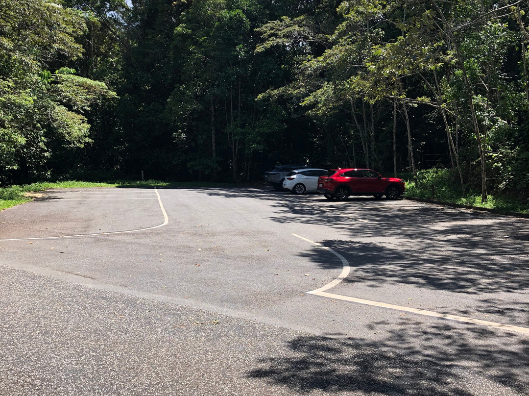 Zillie Falls-Millaa Millaa必去景点