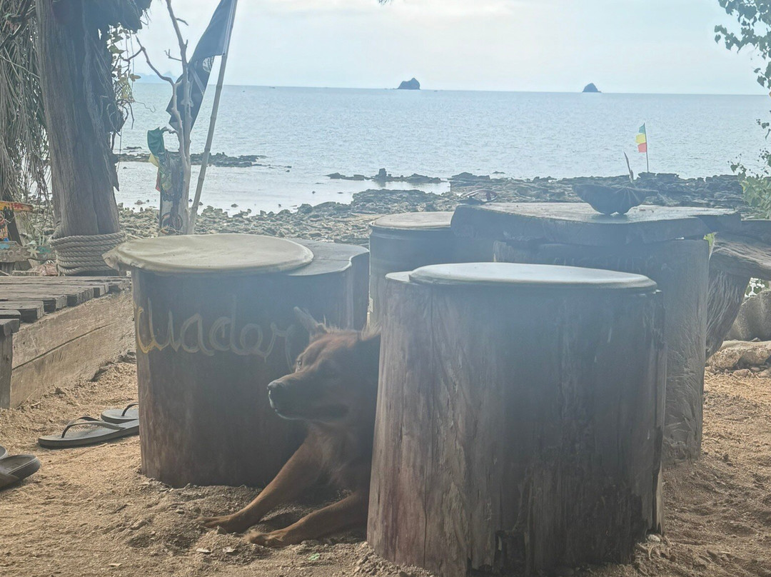 Land of Jah, Rastafari bar & Reggae Beach Bar-Nong Thale必去景点