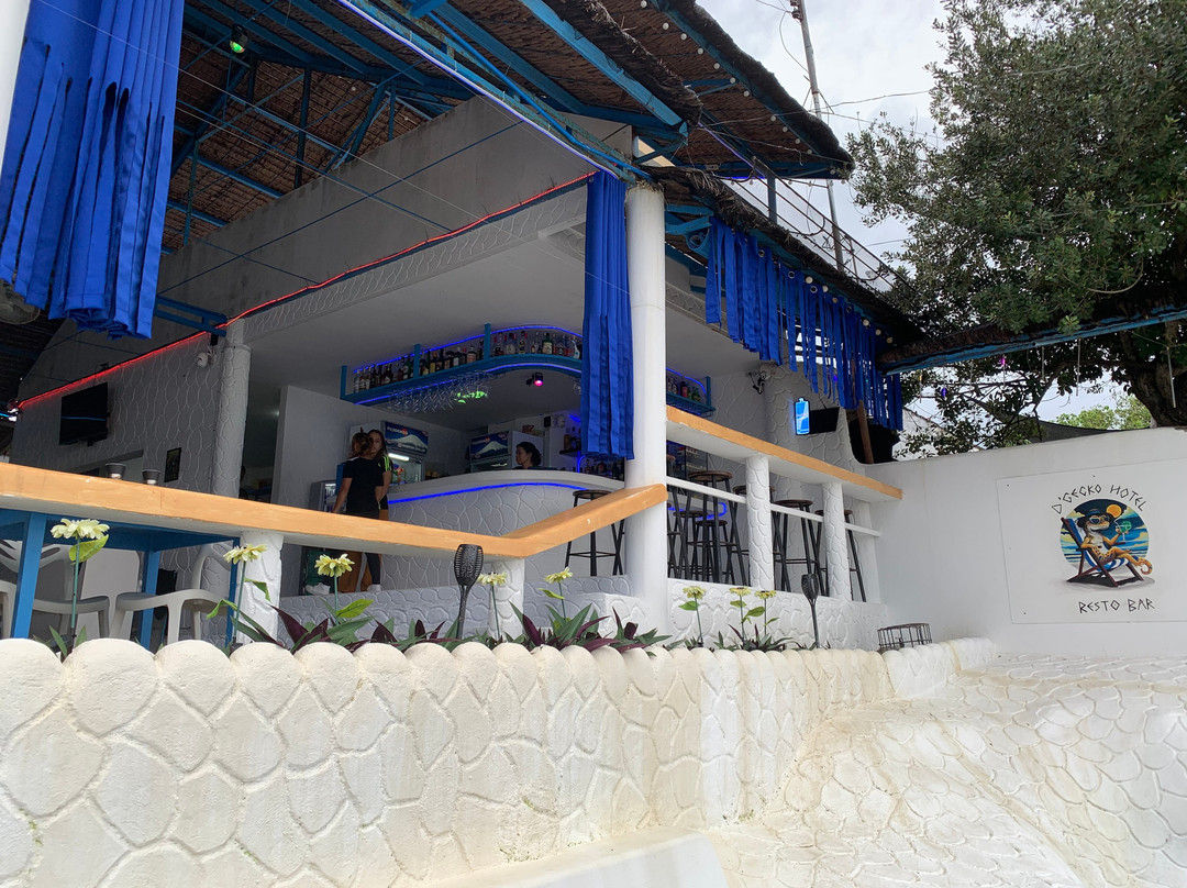 D´Gecko Hotel主图