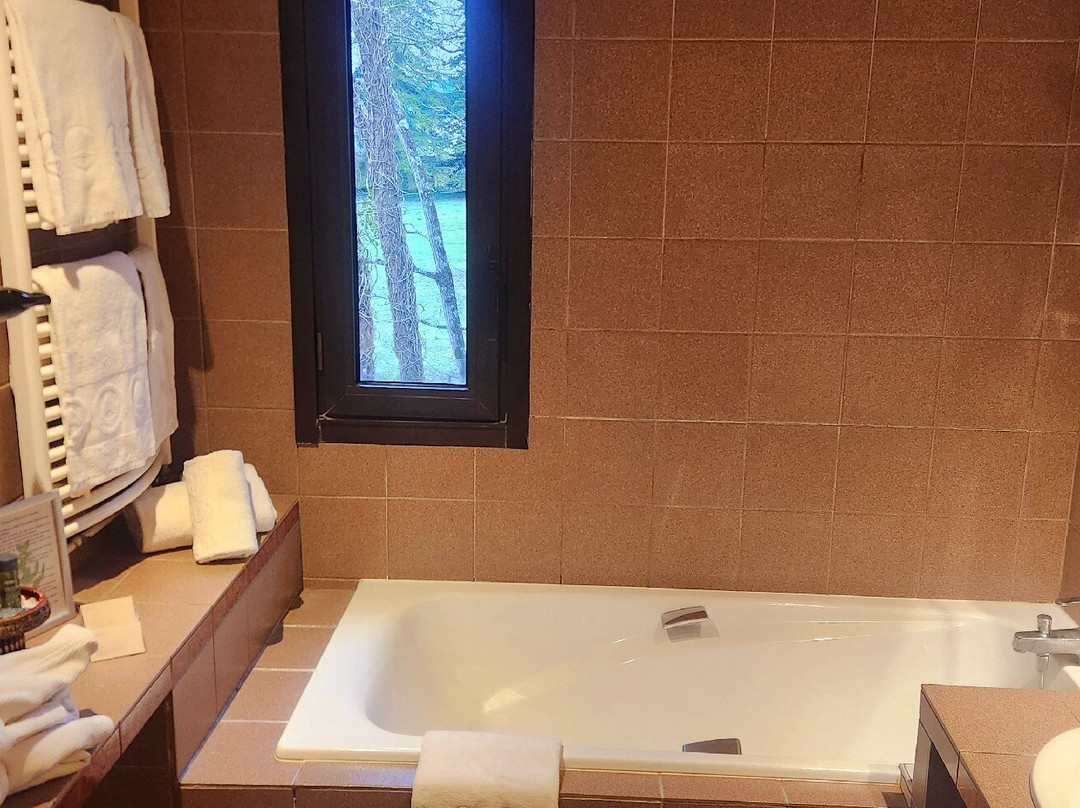 圣乔治森林驿站酒店主图