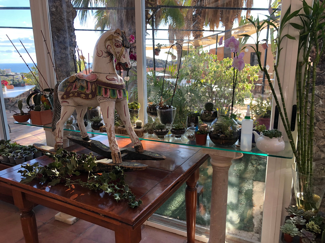 Cortijo de la Media Luna主图