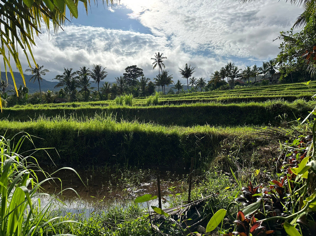 Lesong Hotel and Restaurant主图