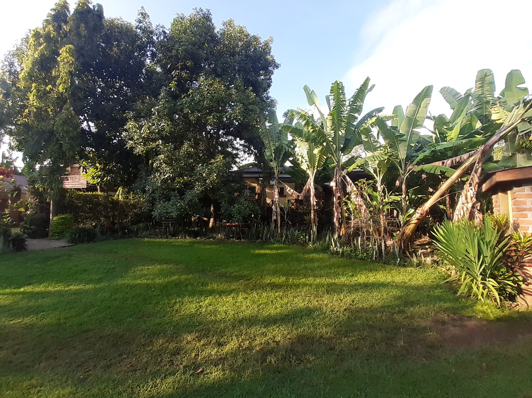 Ambureni Coffee Lodge主图