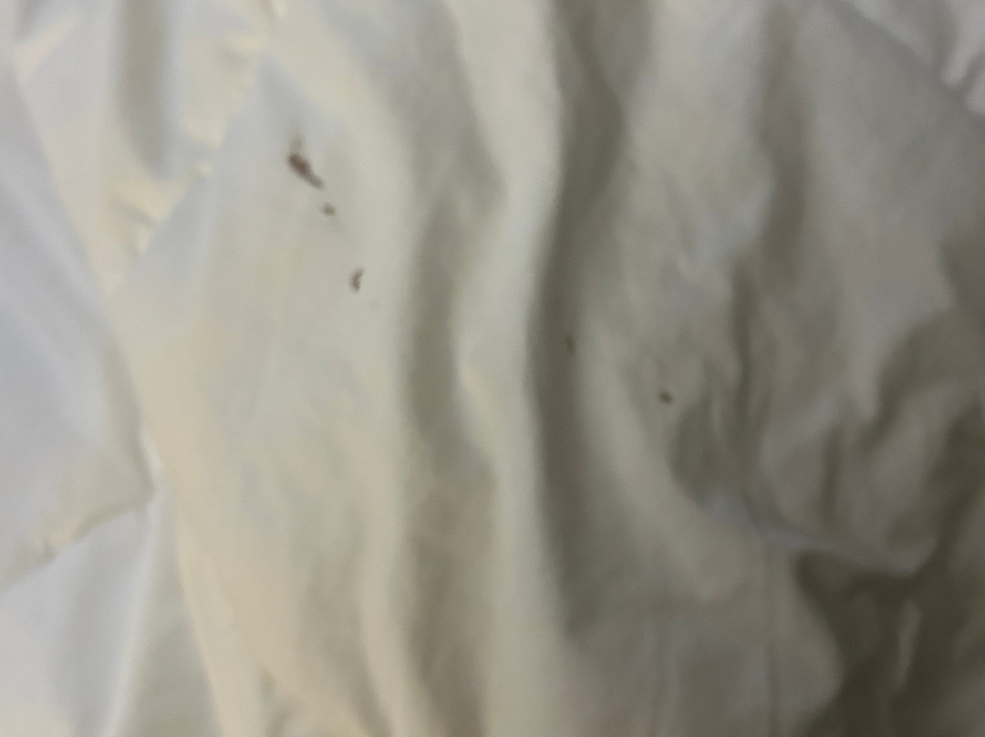 Comfort Suites - Kings Island主图