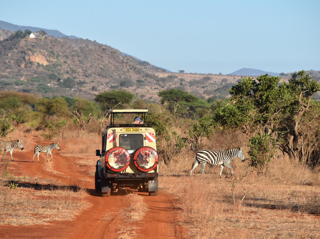 Oranje Safari景点图片