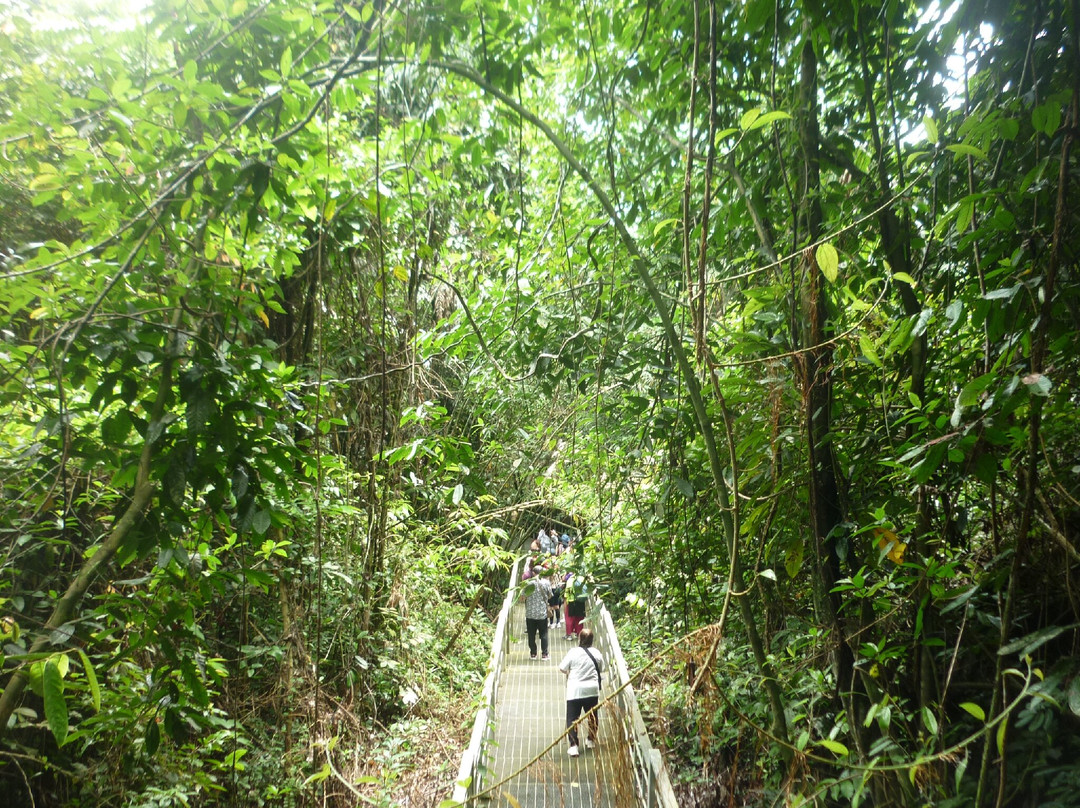 Wind Caves-古晋必去景点