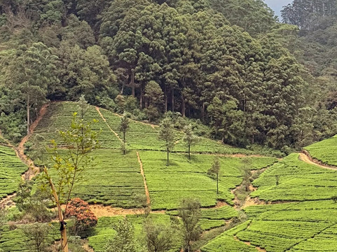 Weligama Cabs-瓦勒迦玛必去景点