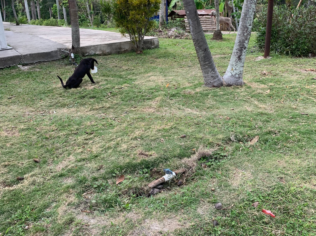 Finca Tungasuk-Caimito必去景点