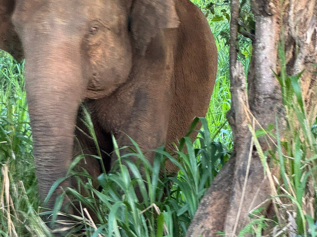 Lal Lanka Tours景点图片