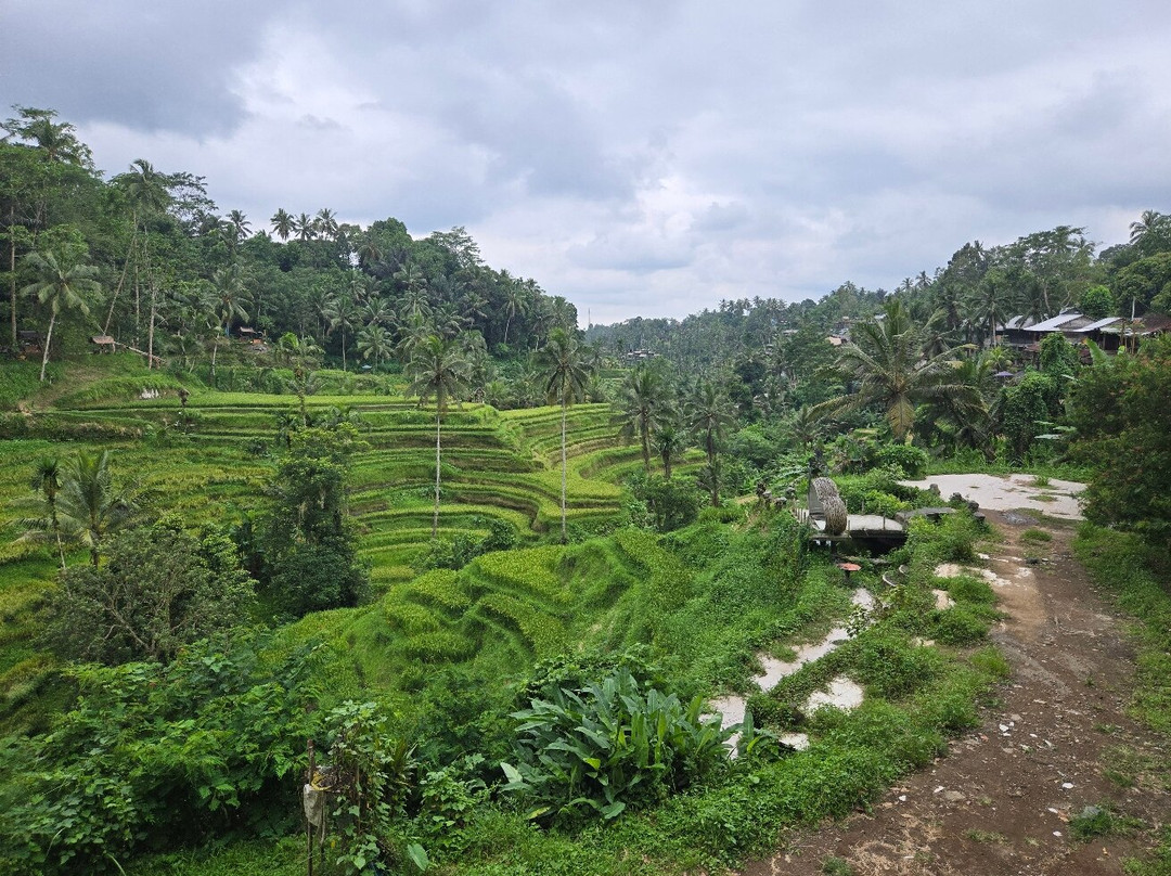 Get Bali Transport-吉安雅必去景点