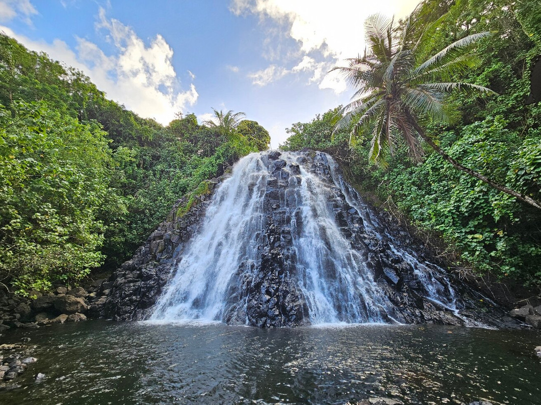 Pohnpei Surf Club景点图片