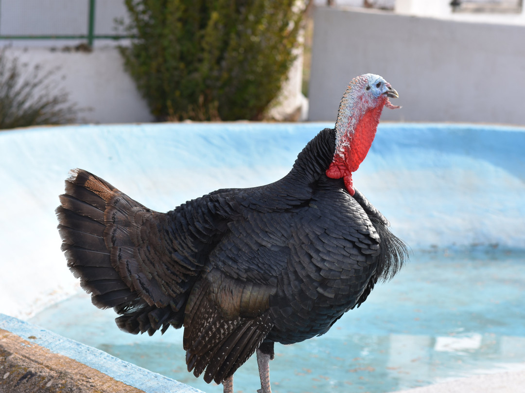 Gite Dayet Aoua主图