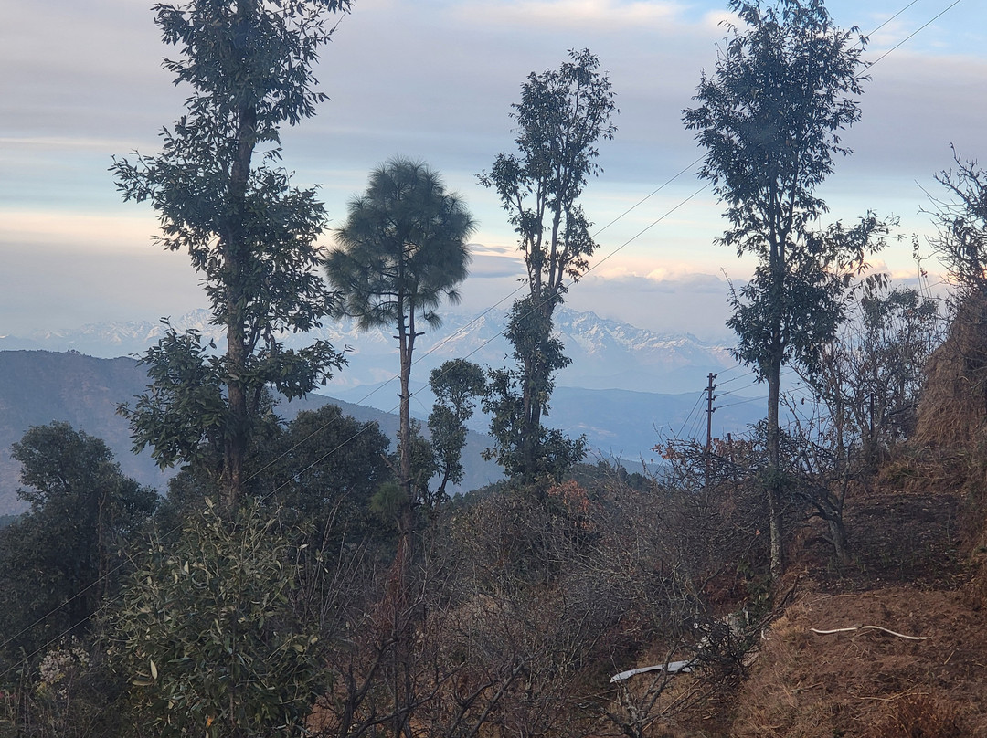 Katie's Abode, Hartola主图