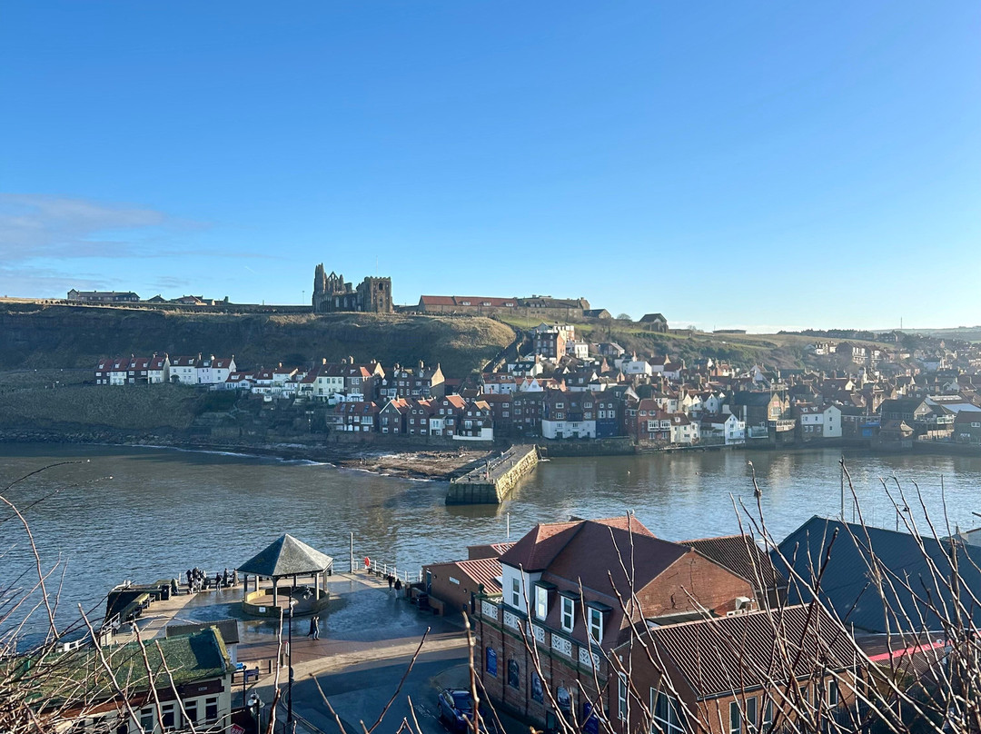 The Shepherd's Purse主图