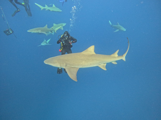 Jupiter Scuba-朱庇特必去景点