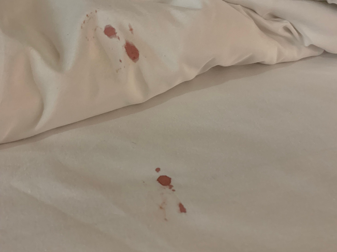 Hawthorn Suites by Wyndham Green Bay主图