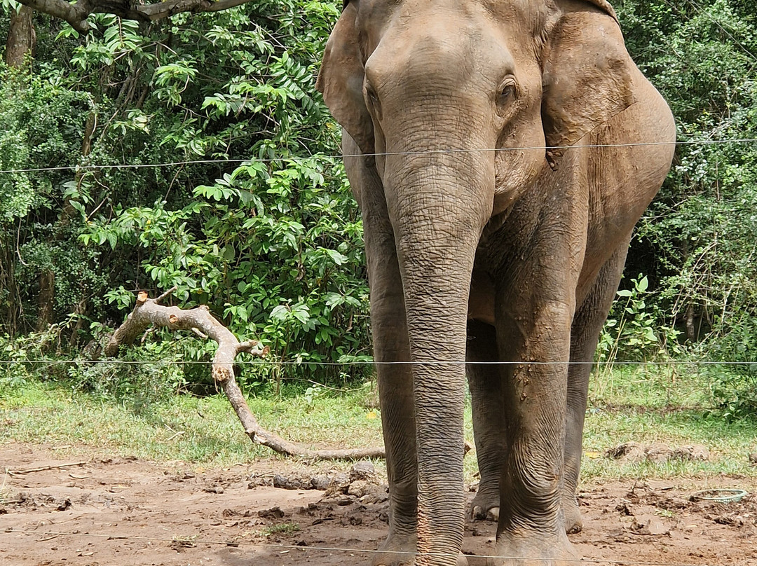 Ranga Tours Kalutara-卡卢特勒必去景点