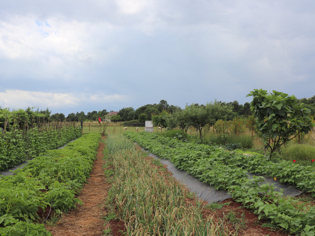 Homestead Albania-Bajze必去景点