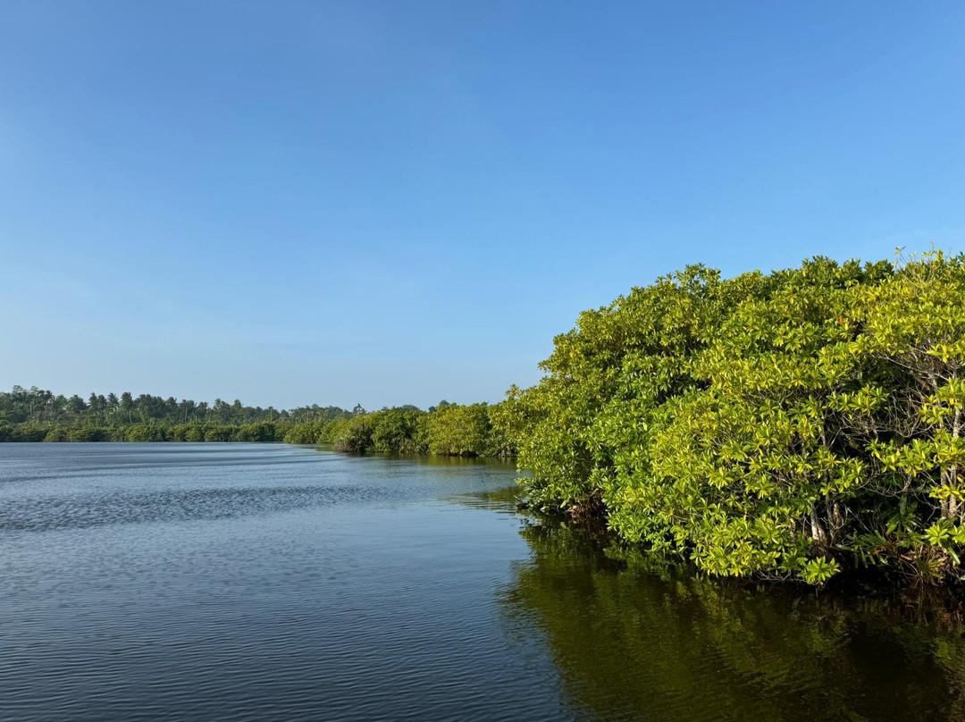 Chinuka Lagoon Safari景点图片