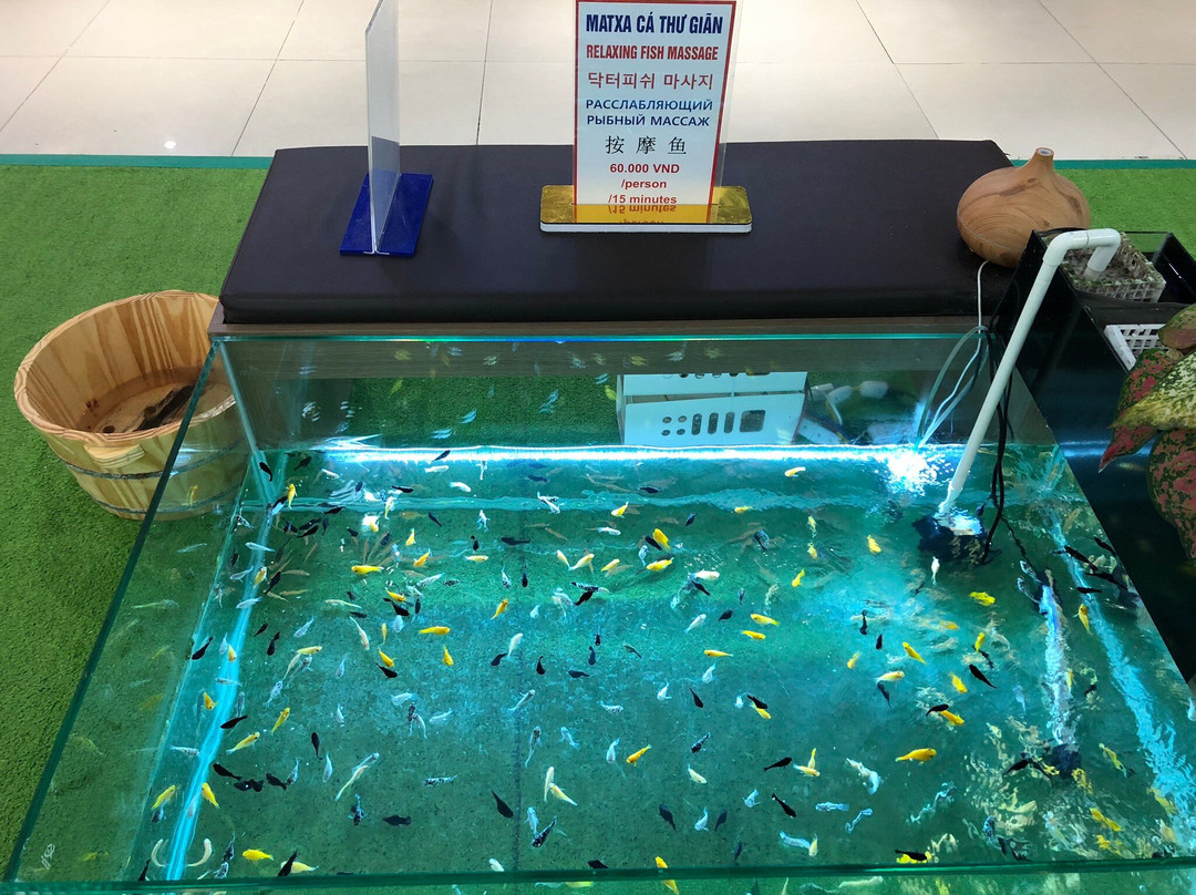 芽庄中心-芽庄必去景点