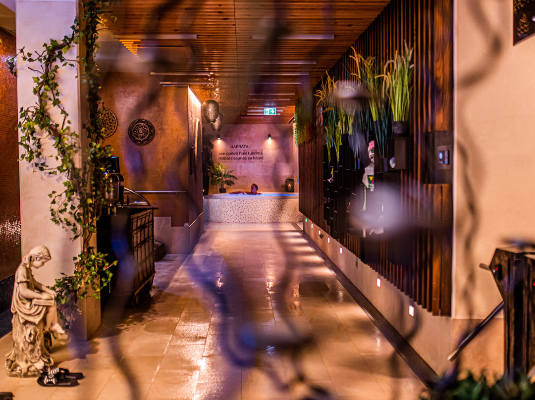 Elamus Spa-塔林必去景点