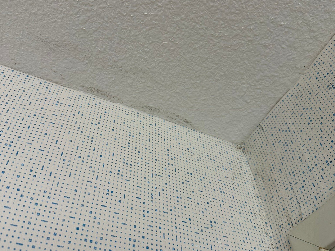 Holiday Inn Express & Suites Carson City by IHG主图