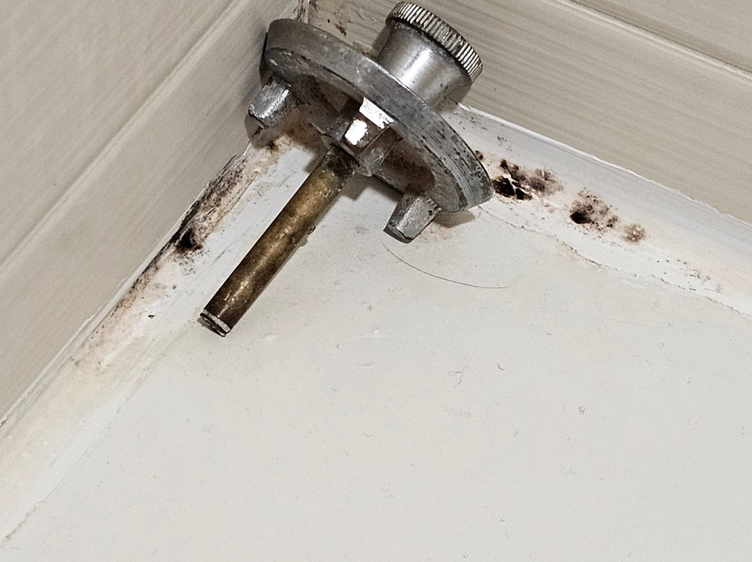 AmericInn by Wyndham Albert Lea主图