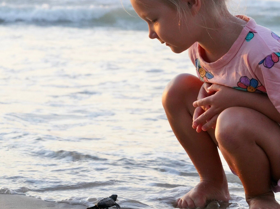 Club Agutaya Resort主图